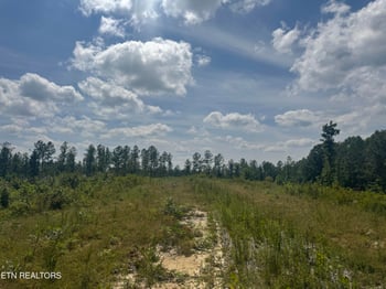 0 Burrville Rd, Sunbright, TN 37872