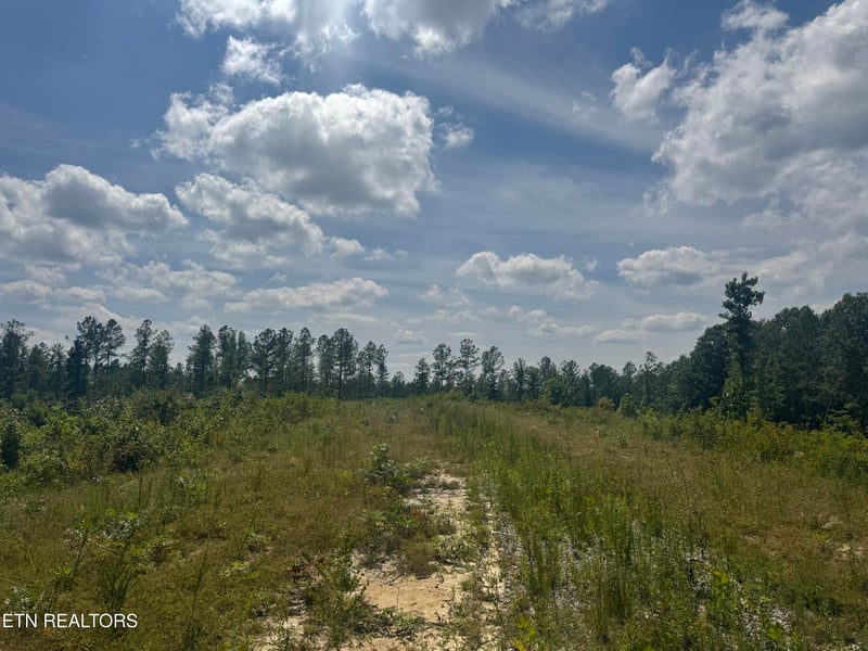 0 Burrville Rd, Sunbright, TN 37872