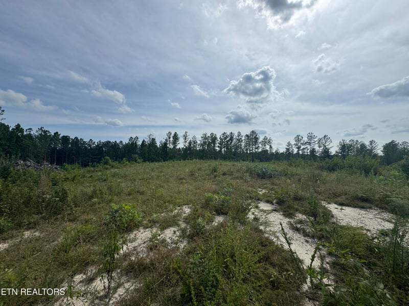 0 Burrville Rd, Sunbright, TN 37872