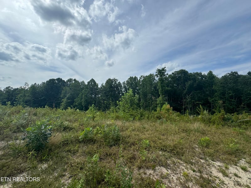 0 Burrville Rd, Sunbright, TN 37872