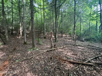0 Burrville Rd, Sunbright, TN 37872