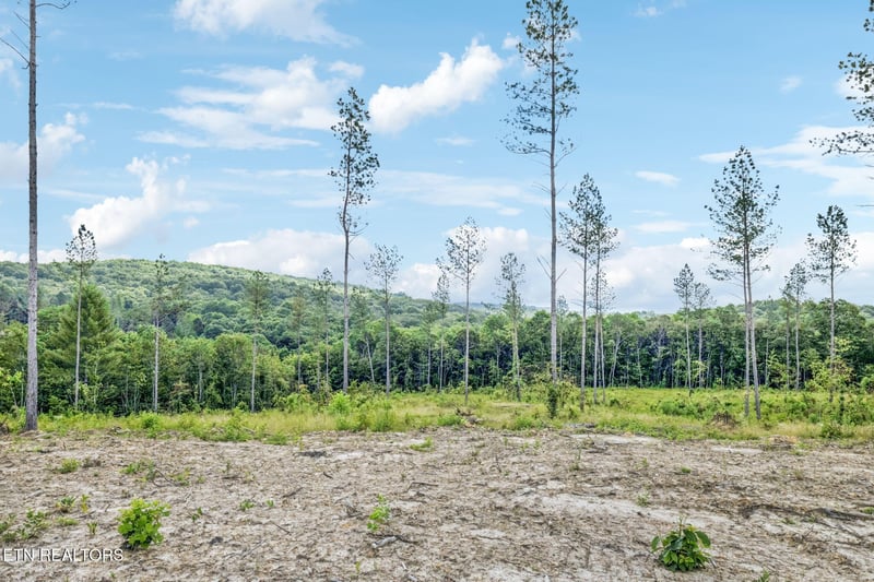 0 Burville Rd, Sunbright, TN 37872