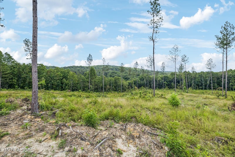 0 Burville Rd, Sunbright, TN 37872