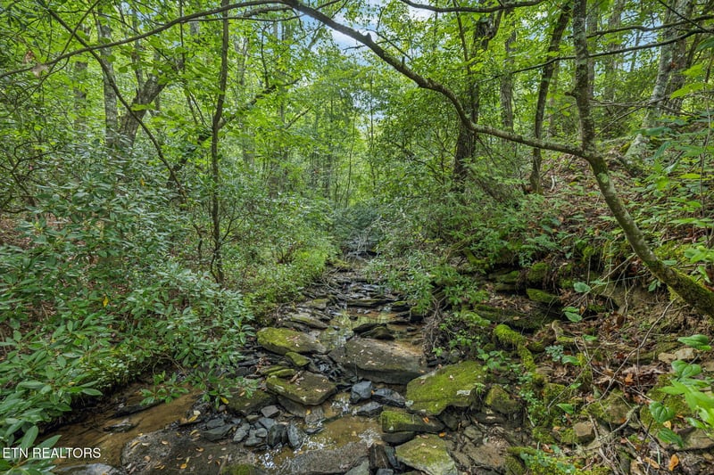 0 Burville Rd, Sunbright, TN 37872
