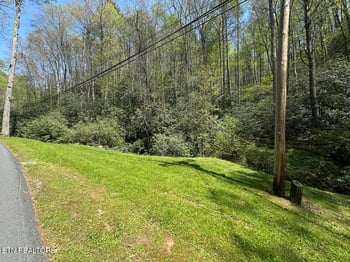 0 Butler Branch Rd, Gatlinburg, TN 37738