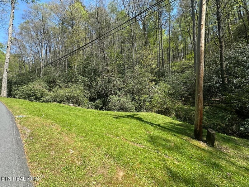 0 Butler Branch Rd, Gatlinburg, TN 37738