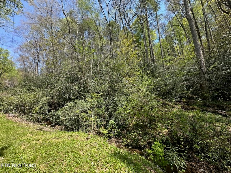 0 Butler Branch Rd, Gatlinburg, TN 37738