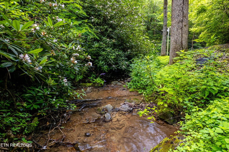 0 Butler Branch Rd, Gatlinburg, TN 37738