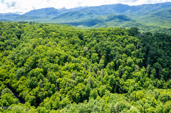 0 Butler Branch Rd, Gatlinburg, TN 37738