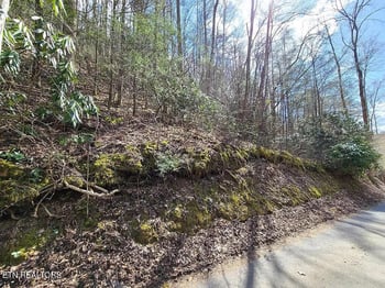 0 Butler Branch Rd, Gatlinburg, TN 37738
