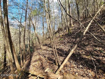 0 Butler Branch Rd, Gatlinburg, TN 37738