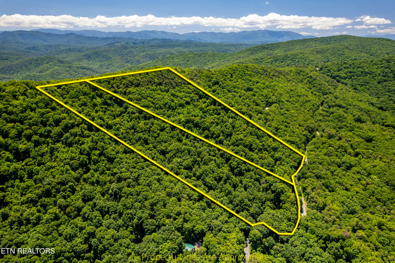 0 Butterfly Gap Rd, Maryville, TN 37803