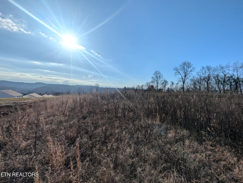 0 Buttermilk Rd, Knoxville, TN 37932