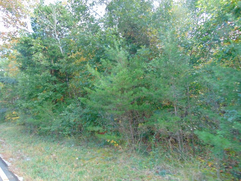 0 Buttermilk Rd W, Kingston, TN 37763