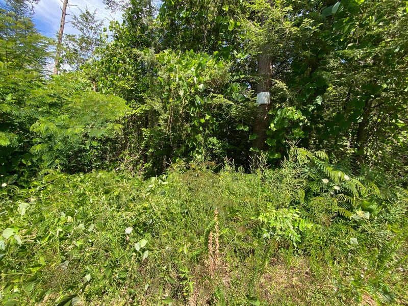 0 Button Wood Drvie, Sevierville, TN 37876