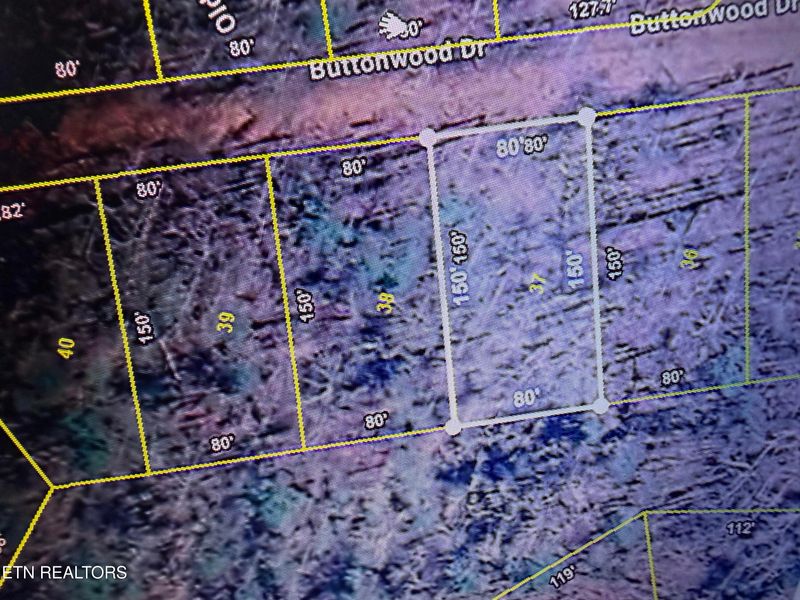 0 Buttonwood Dr, Sevierville, TN 37876