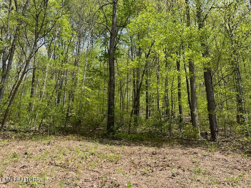 0 Cabin Rd, Speedwell, TN 37870