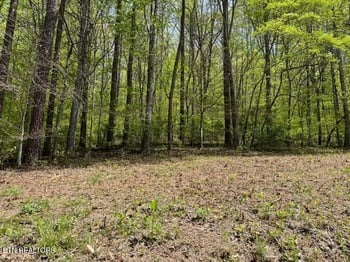 0 Cabin Rd, Speedwell, TN 37870