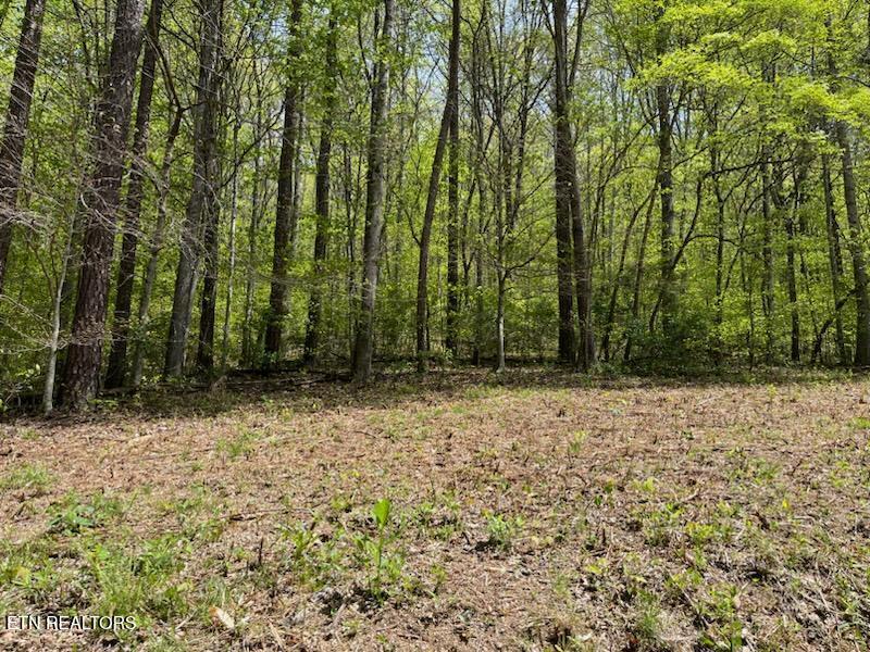 0 Cabin Rd, Speedwell, TN 37870