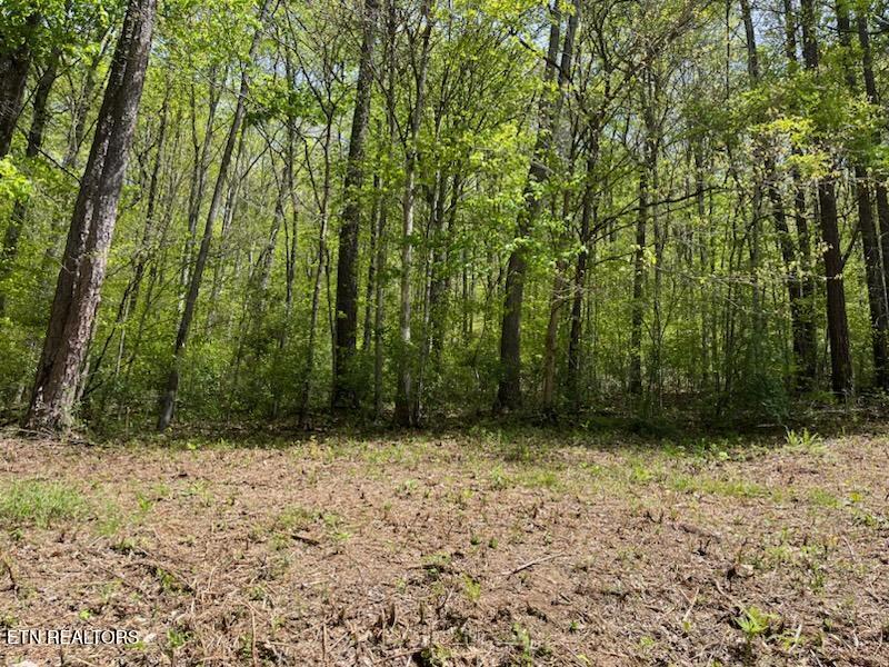 0 Cabin Rd, Speedwell, TN 37870