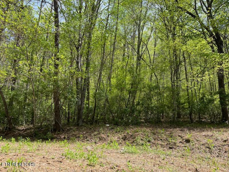 0 Cabin Rd, Speedwell, TN 37870