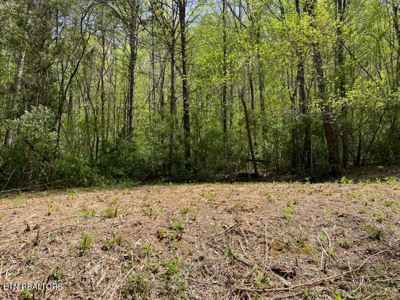 0 Cabin Rd, Speedwell, TN 37870