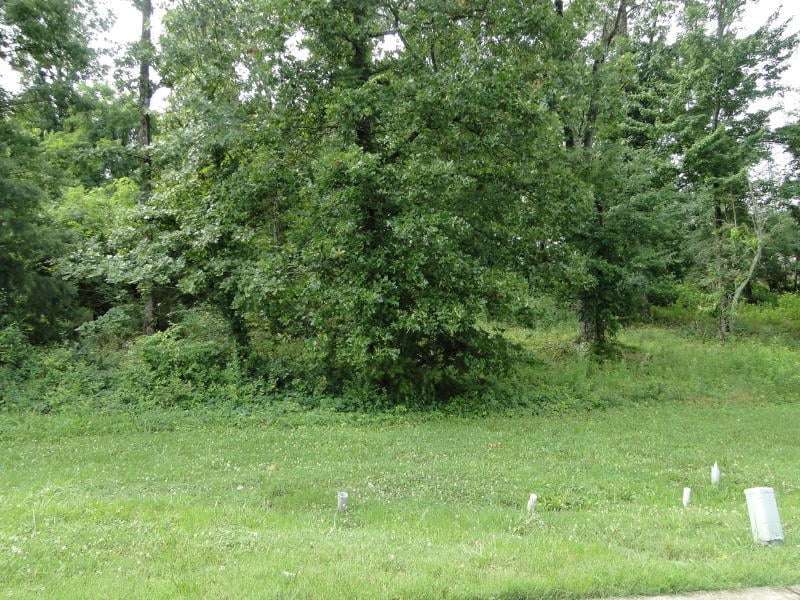 0 Cabot Ridge Ln, Knoxville, TN 37922