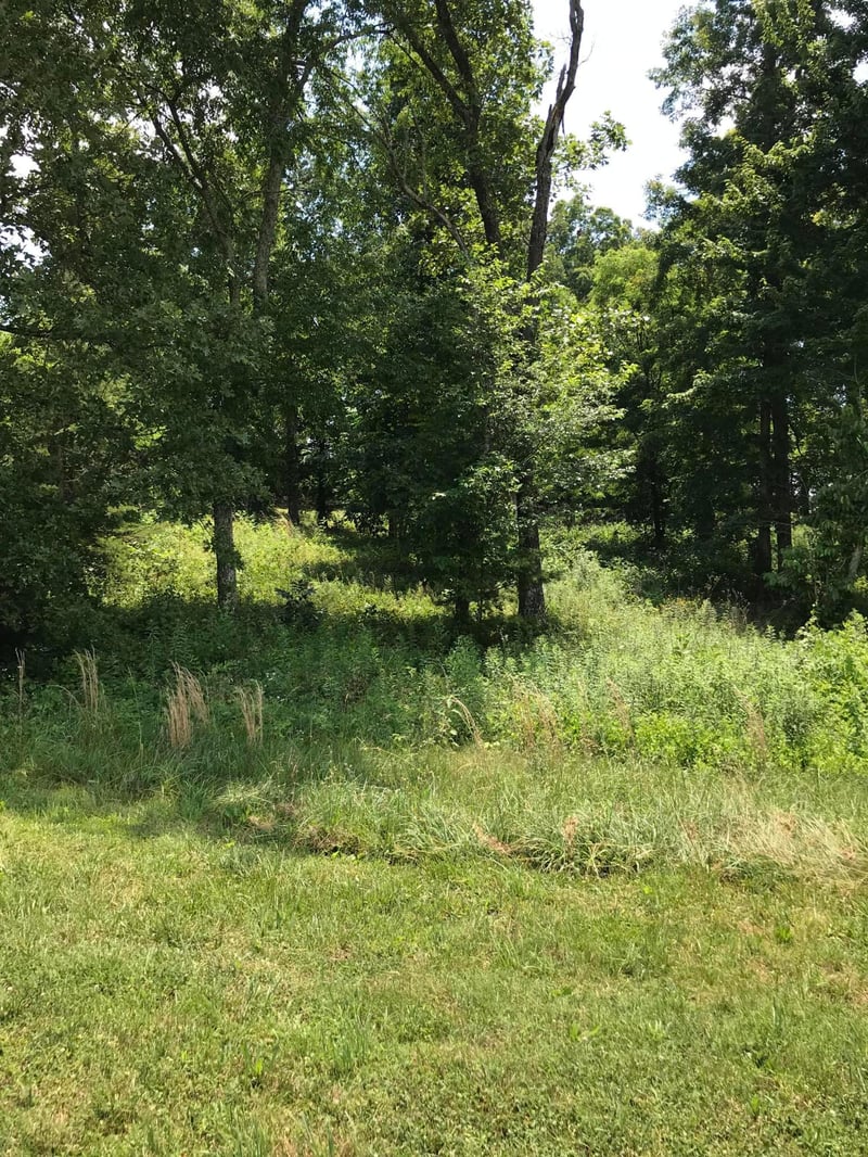 0 Cabot Ridge Ln, Knoxville, TN 37922