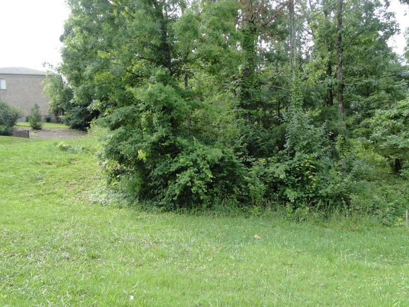 0 Cabot Ridge Ln, Knoxville, TN 37922