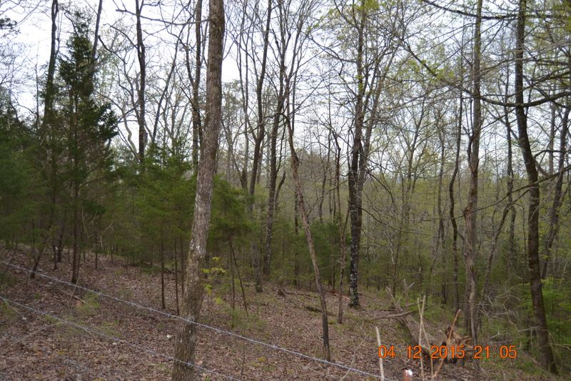 0 Cain Rd, Sharps Chapel, TN 37866