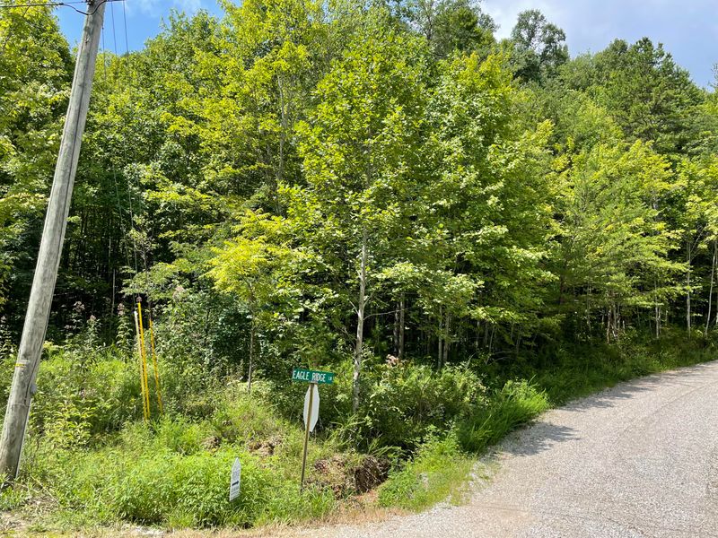 0 Campbell Highlands Dr, Pioneer, TN 37847
