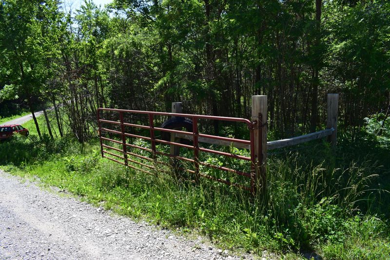0 Campground Rd, Sunbright, TN 37872
