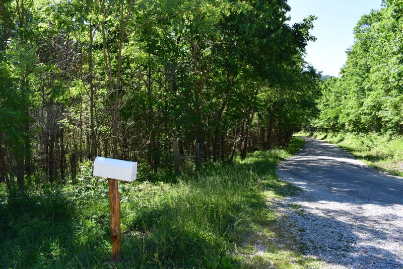 0 Campground Rd, Sunbright, TN 37872