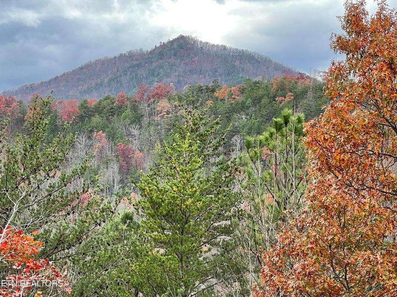 0 Caney Creek Lot 2, Pigeon Forge, TN 37863