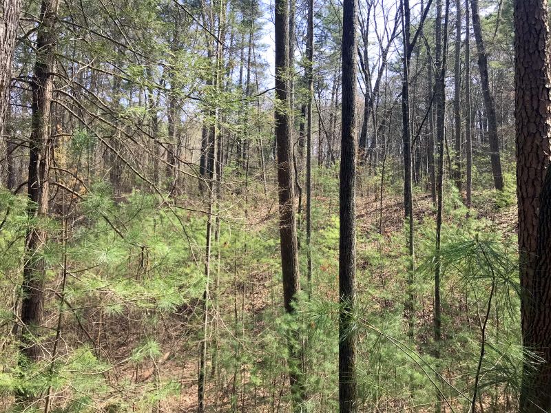 0 Cannon Ridge Rd, Tellico Plains, TN 37385