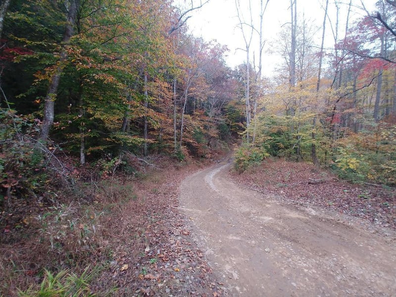 0 Capuchin Creek Rd, Newcomb, TN 37819