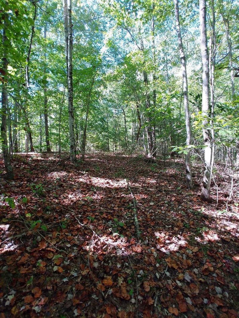 0 Capuchin Creek Rd, Newcomb, TN 37819