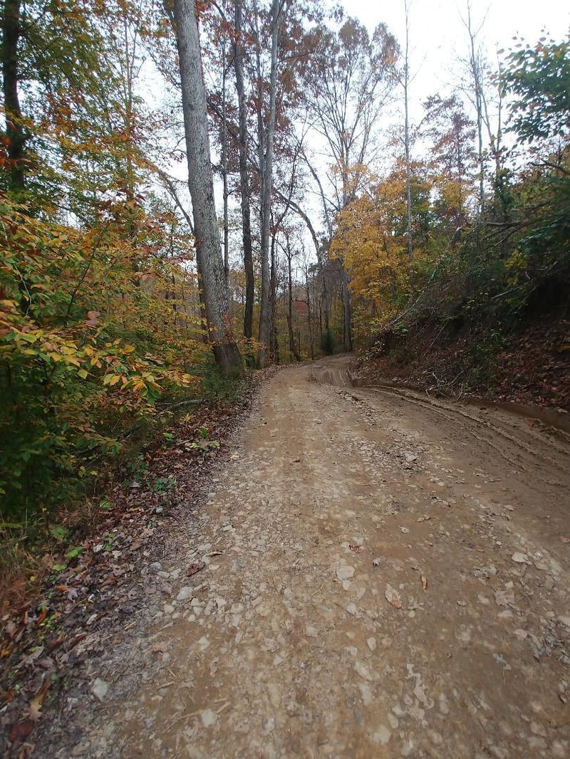 0 Capuchin Creek Rd, Newcomb, TN 37819