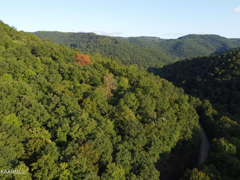 0 Capuchin Creek Rd, Winfield, TN 37892
