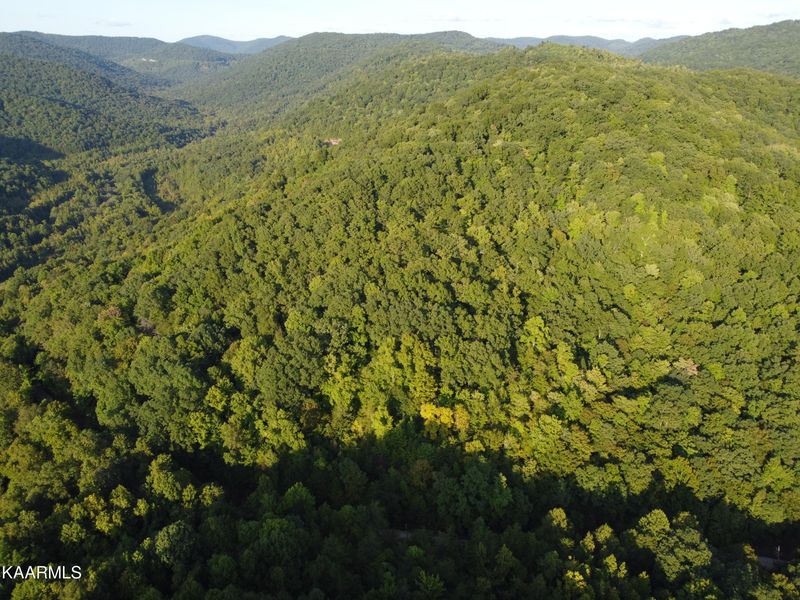 0 Capuchin Creek Rd, Winfield, TN 37892