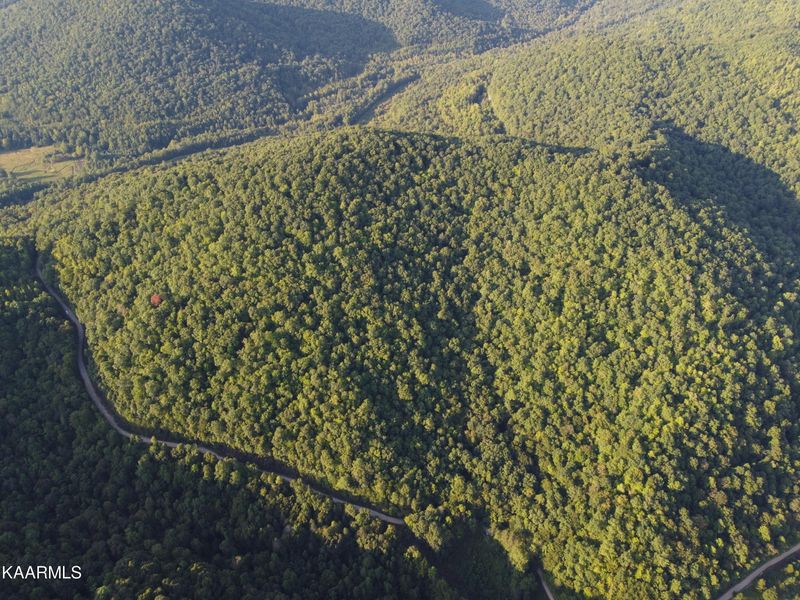 0 Capuchin Creek Rd, Winfield, TN 37892