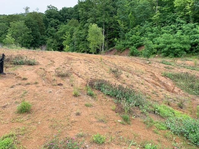 0 Carly Ridge Way, Clinton, TN 37716