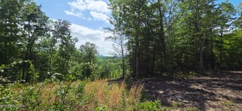 0 Carmel Ridge Pvt Dr, Robbins, TN 37852