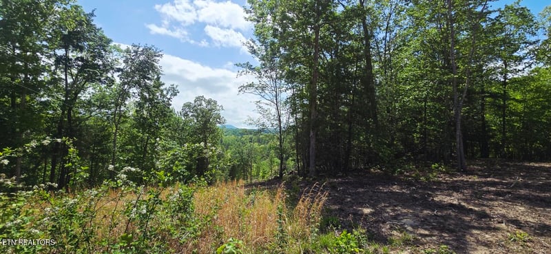 0 Carmel Ridge Pvt Dr, Robbins, TN 37852