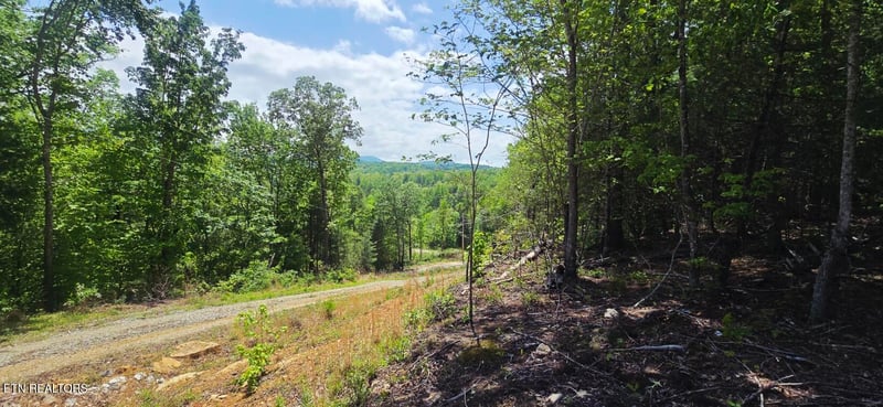 0 Carmel Ridge Pvt Dr, Robbins, TN 37852