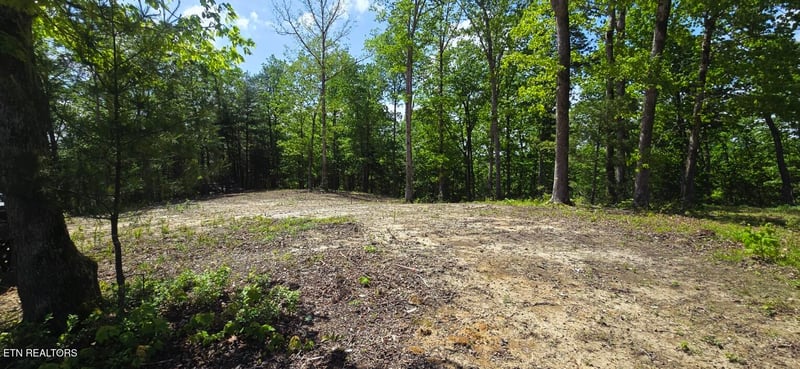 0 Carmel Ridge Pvt Dr, Robbins, TN 37852