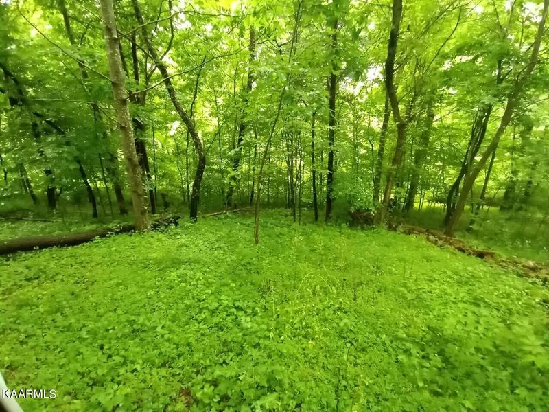 0 Carr Wynn Rd, Lafollette, TN 37766