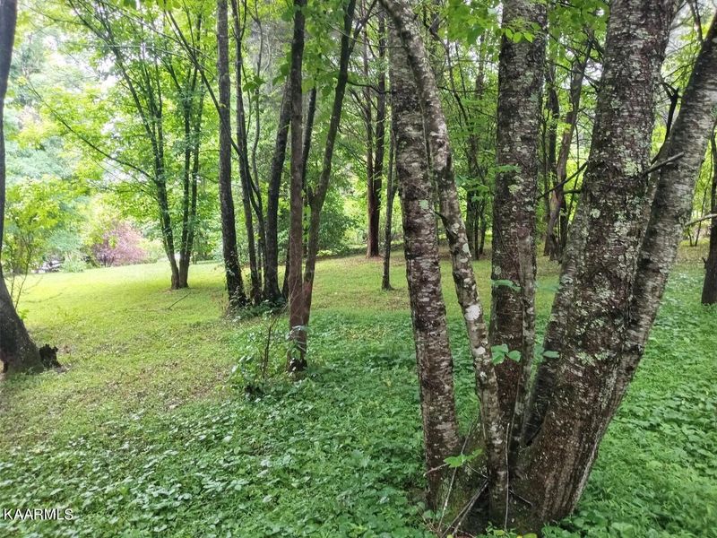 0 Carr Wynn Rd, Lafollette, TN 37766