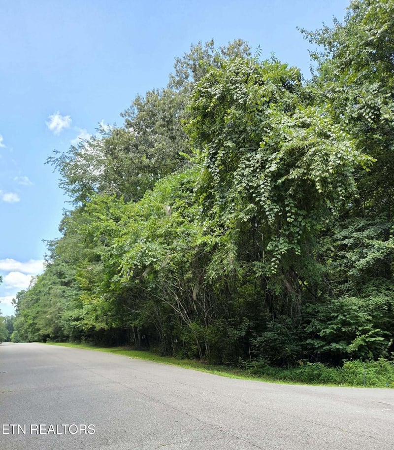 0 Carrie Dr, Crossville, TN 38572