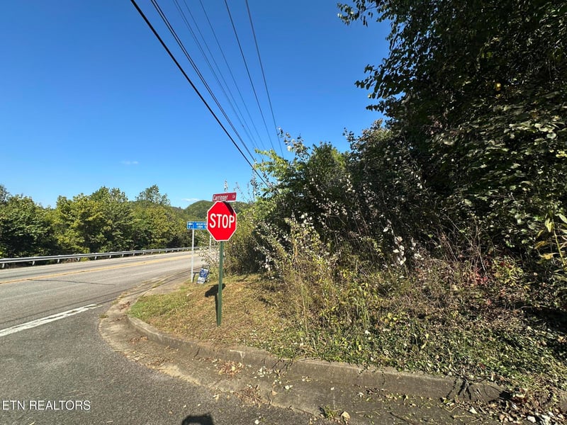 0 Carringer Cir, Tellico Plains, TN 37385